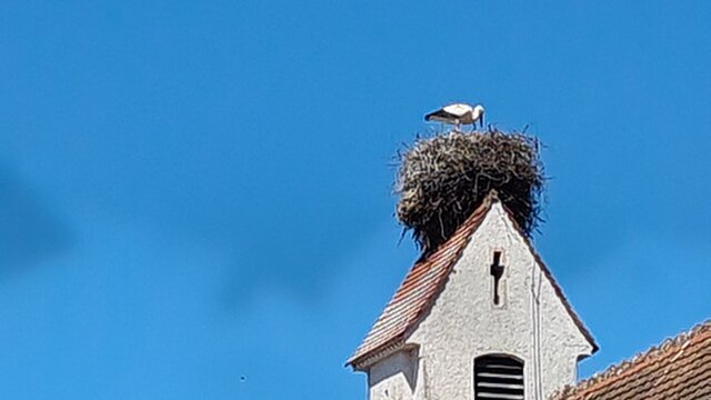 Bild zum Eintrag