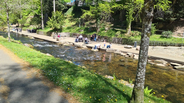 Bild zum Eintrag